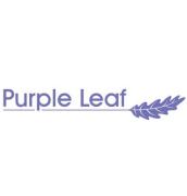 Purple-Leaf-Logo-no-words-300