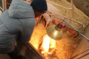 IMG8896